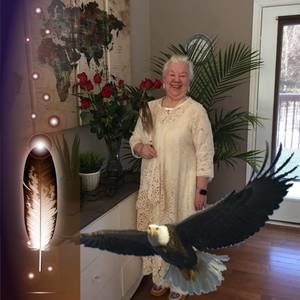 Meet your Posher, Dot